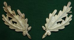 SA Gruppenfuhrer RZM-marked Collar Tab Silver Oakleaves SA Gruppenfuhrer RZM-marked Collar Tab Silver Oakleaves