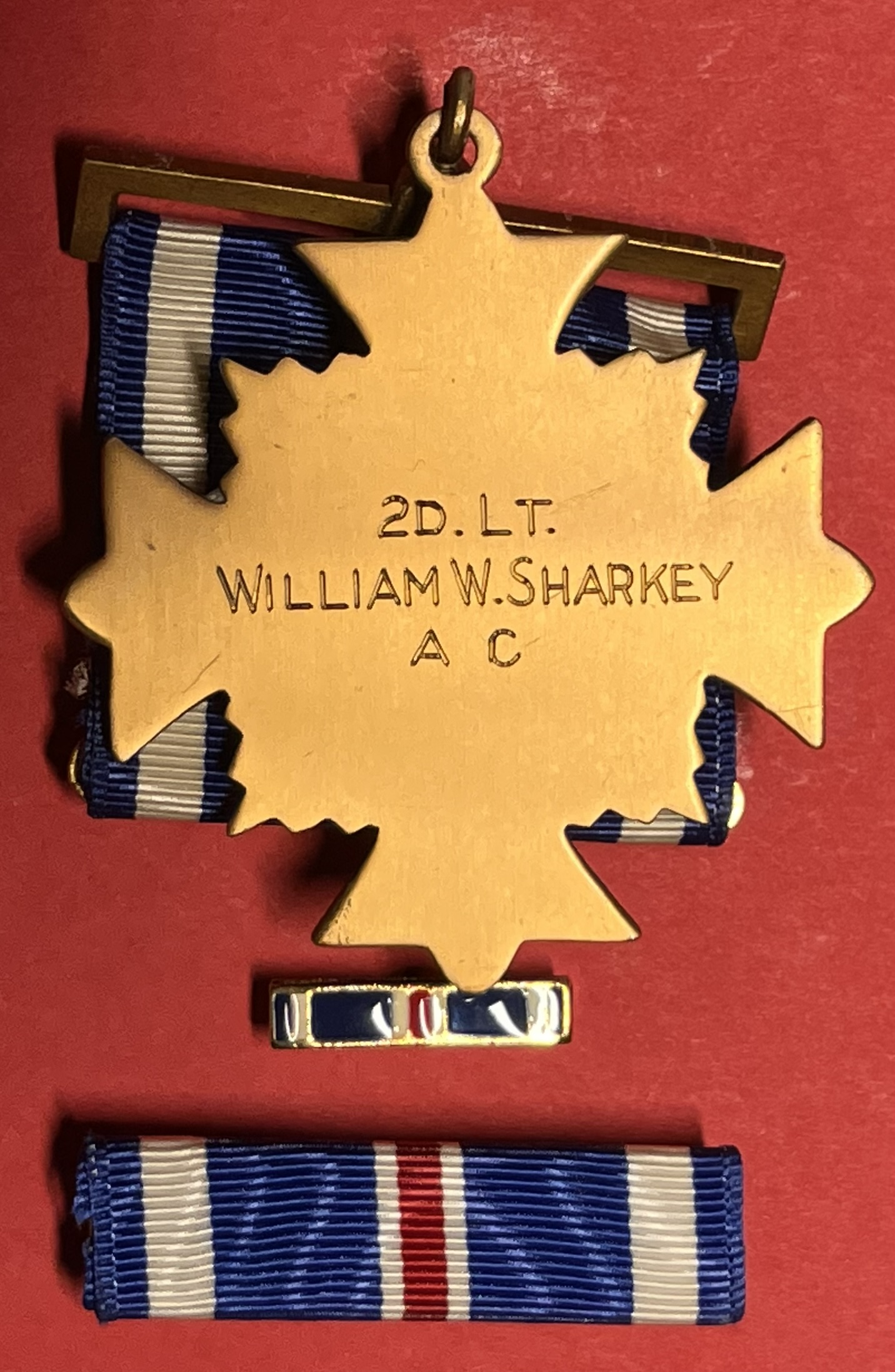 BI-SHARKEY-POW_14