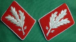 Early SA Gruppenfuhrer General Collar Tabs - General Staff