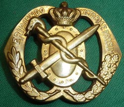 Dutch Army Beret Van Heutsz Regiment Size 57 + Medical Badge