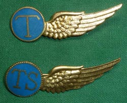 WW2 Dutch Air Force Aviation Aircrew Wings