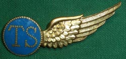 WW2 Dutch Air Force Aviation Aircrew Wings