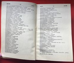 WW2 German-English/English-German Dictionary - England 1945