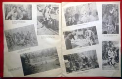 Large Format Souvenir Brochure Camp McCain 87th Division - Acorn