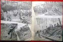 Large Format Souvenir Brochure Camp McCain 87th Division - Acorn