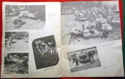 Large Format Souvenir Brochure Camp McCain 87th Division - Acorn