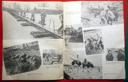 Large Format Souvenir Brochure Camp McCain 87th Division - Acorn