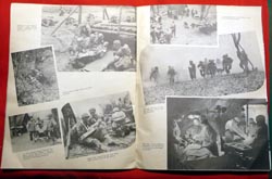 Large Format Souvenir Brochure Camp McCain 87th Division - Acorn