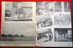 Large Format Souvenir Brochure Camp McCain 87th Division - Acorn