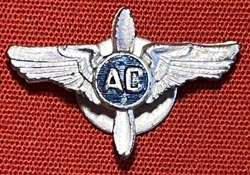 (image for) USAAF Aviation Cadet Lapel Pin