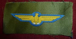 WW2 Imperial Japanese Army Aviation Observer Wing